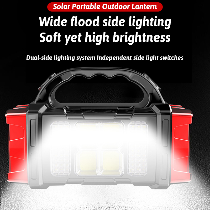 Dual Color + Dual Light Source - Renewable Energy Generation recension och pris
