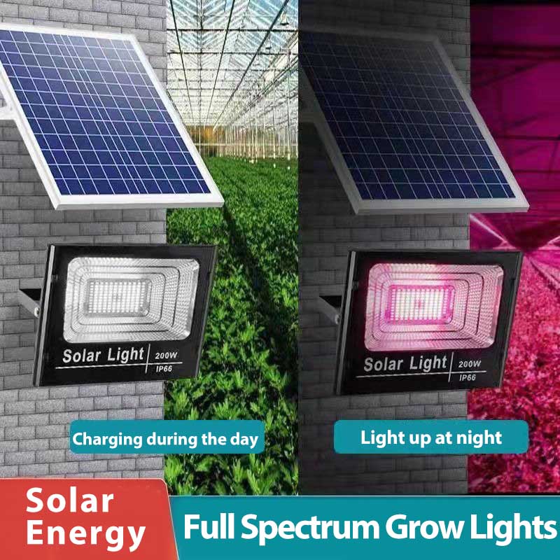 Solar Powered LED Plant Grow L - Renewable Energy Project recension och pris