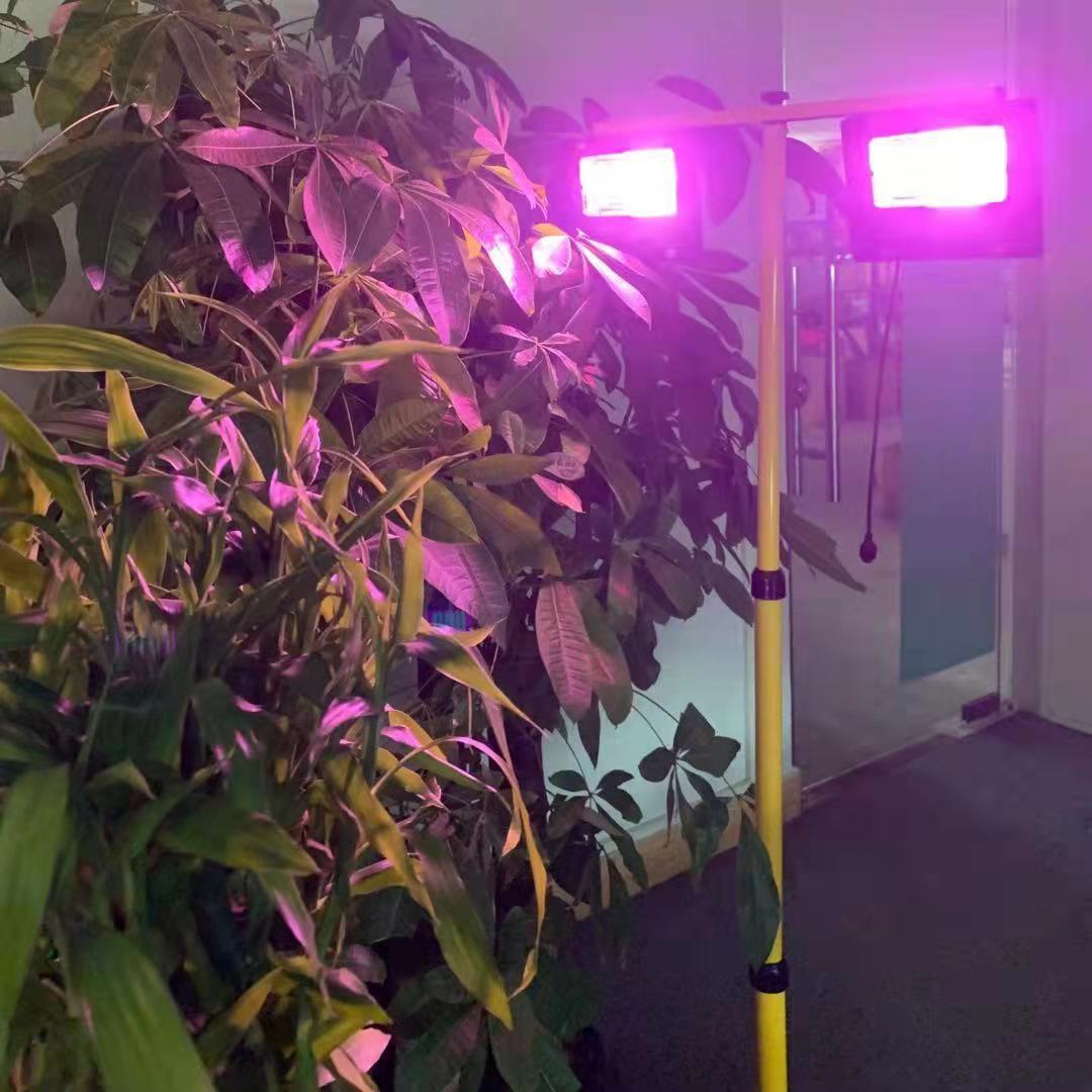 Solar Powered LED Plant Grow L - Renewable Energy Project recension och pris